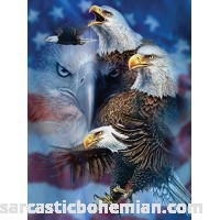 SunsOut Patriotic Eagles 1000 pc Jigsaw Puzzle  B00CH23SY4